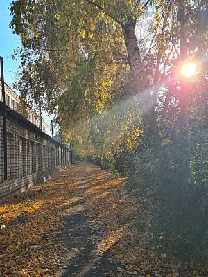 "Золотая Тропа Утреннего Света"