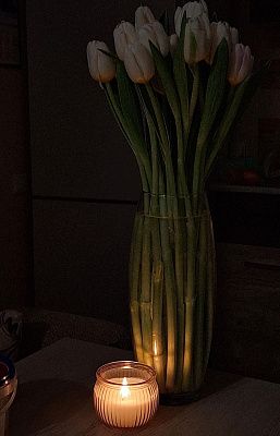 Вечерняя гармония