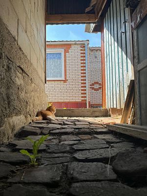 Тучка отдыхает