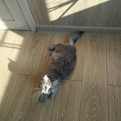 Солнышко