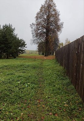 За забором - осень