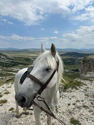 Однажды на Белой Скале