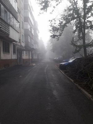 Зачарованный туманом.