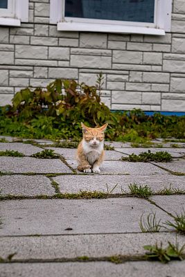 Первое тепло