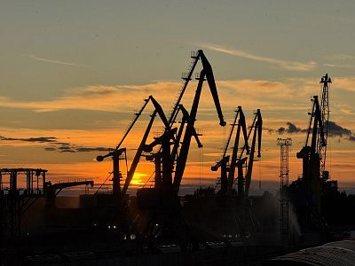 Жирафы