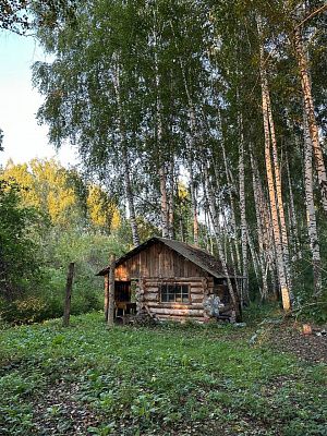 Дом в лесу