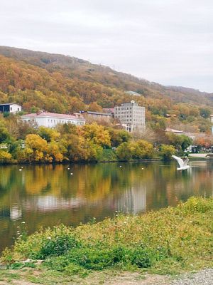 Краски осени