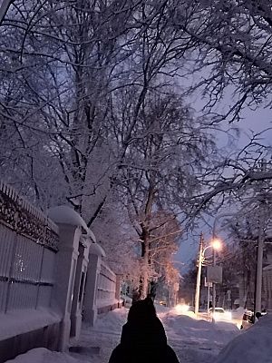 зима