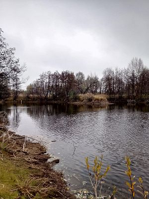 "Осенний пруд под пасмурным небом"
