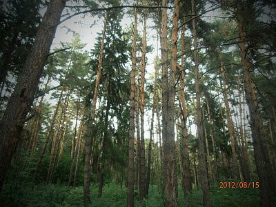 Пермский край