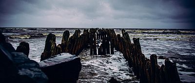«Архангельская область»
