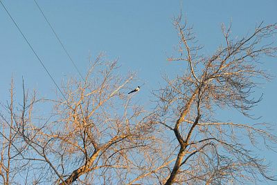 Бескрайнее небо