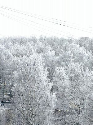 Снежный февраль