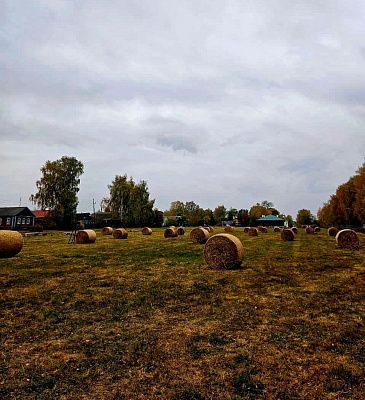 Осенний уют