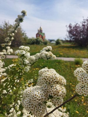 Спокойствие Души 