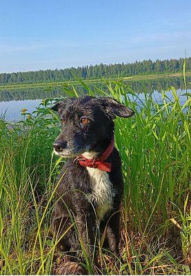 Лучи солнца