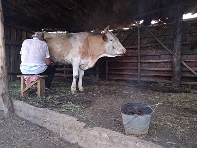 Сельский быт