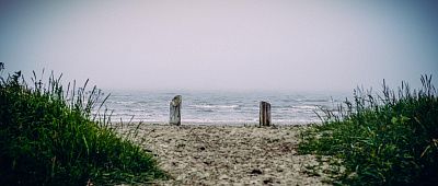 «Архангельская область»