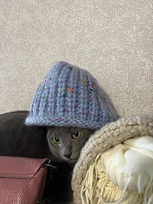 Ушки замёрзли