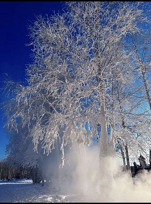 Холодное зимнее утро 
