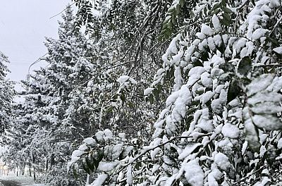 Первый снег
