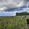 Шарыповский район — уникальная территория