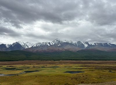 «Палитра»