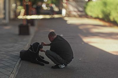Преданный друг