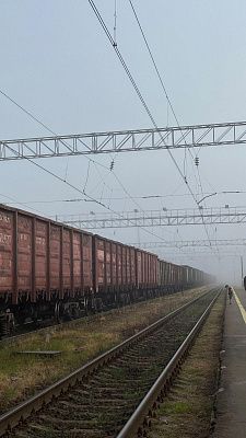 Перегон в Свири