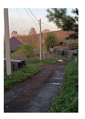 "Жизнь в маленьком городке"