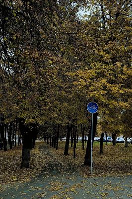 Осень
