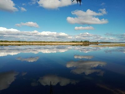 Зеркало природы