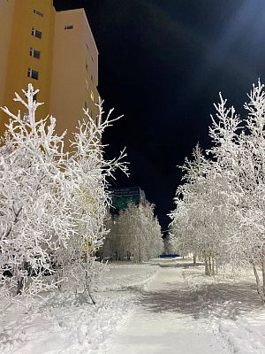 Белая берёза под моим окном....