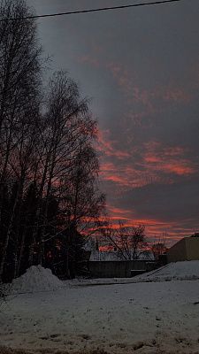 Вечерняя прогулка
