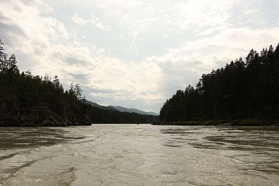 река Катунь