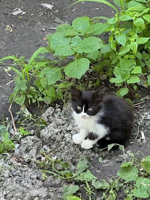 Большой мир