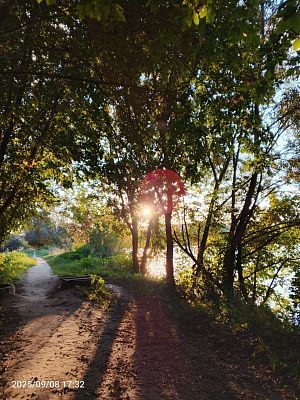 За что люблю родину 