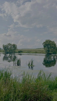 Красивая Меча