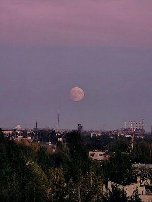 Розовая Луна