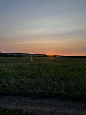 Родина родная, люблю я тебя.