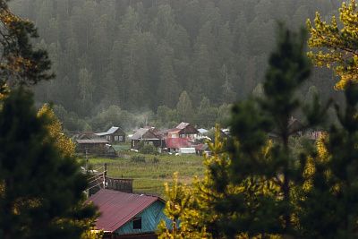 Зеленая колыбель