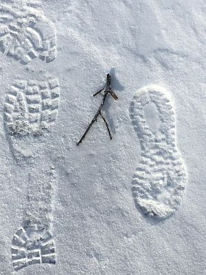 Печаль