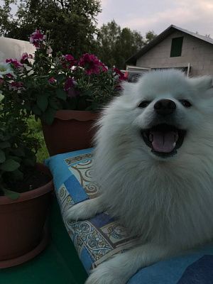 Летний вечер 