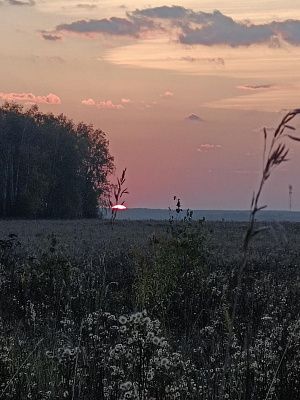 Подмосковный закат