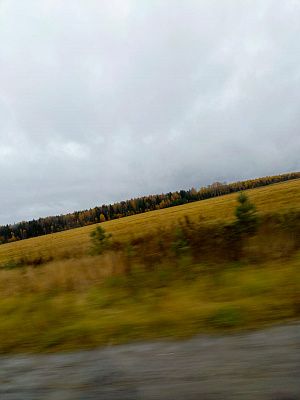 Осень золотая
