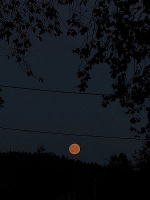 Прогулка с луной