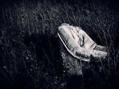 «ЖИВОЕ И УВЯДАЮЩЕЕ»
