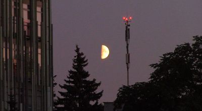 сумеречные грёзы, поглотившие всё живое