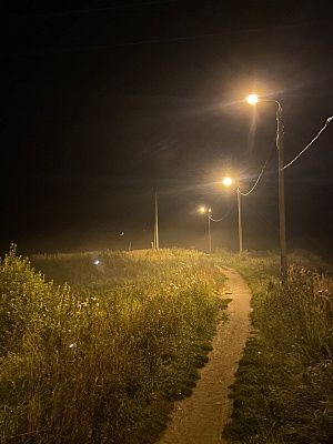Ночной туман